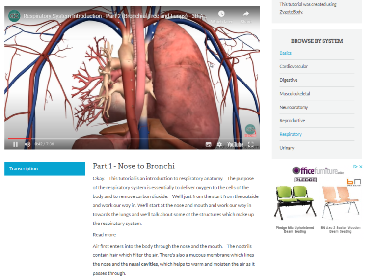 5 Best Free Anatomy sites (For Medical Students & Beyond)! willpeachMD