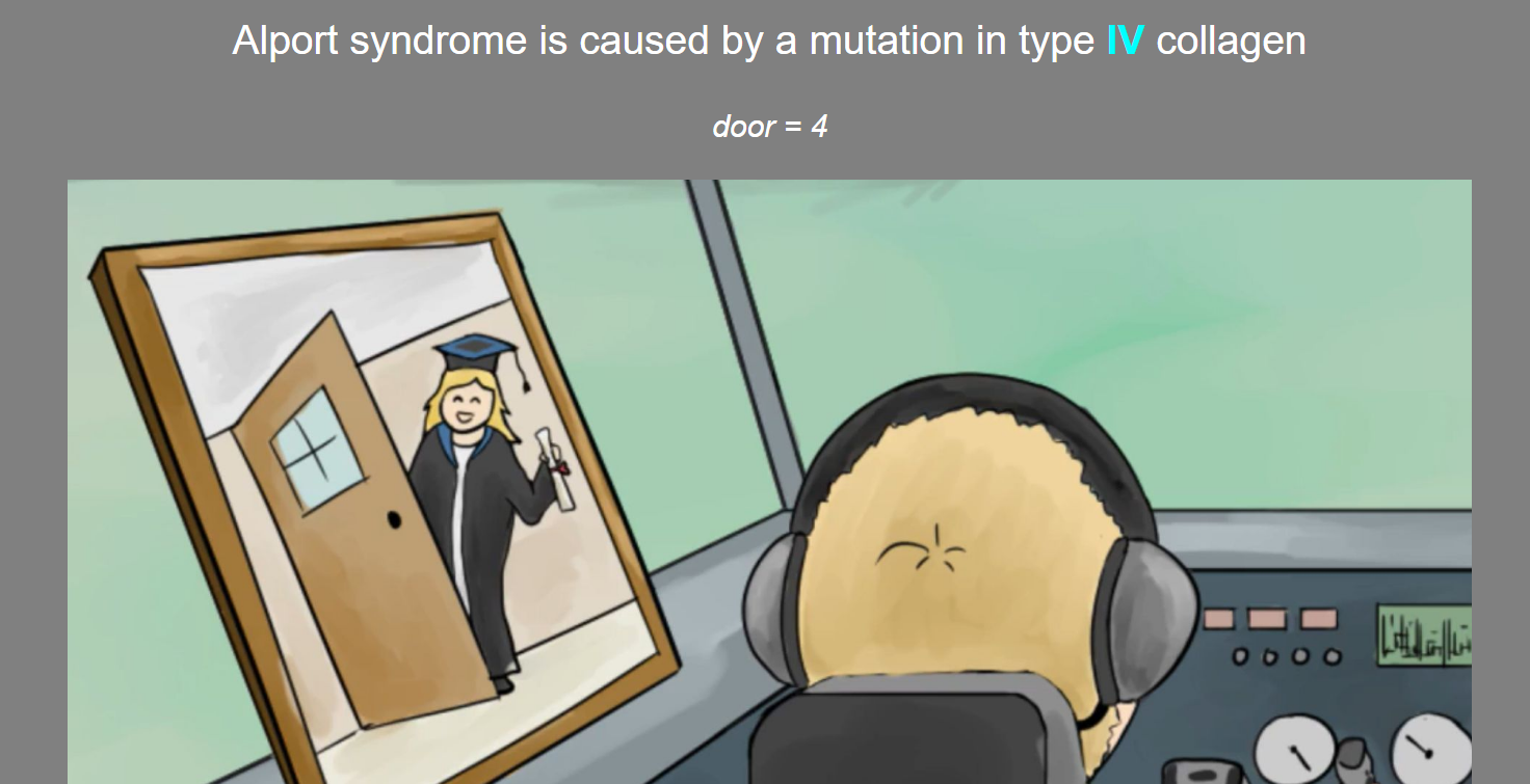 3 Best Biochemistry Anki Decks Learn Biochemistry Fast (2021