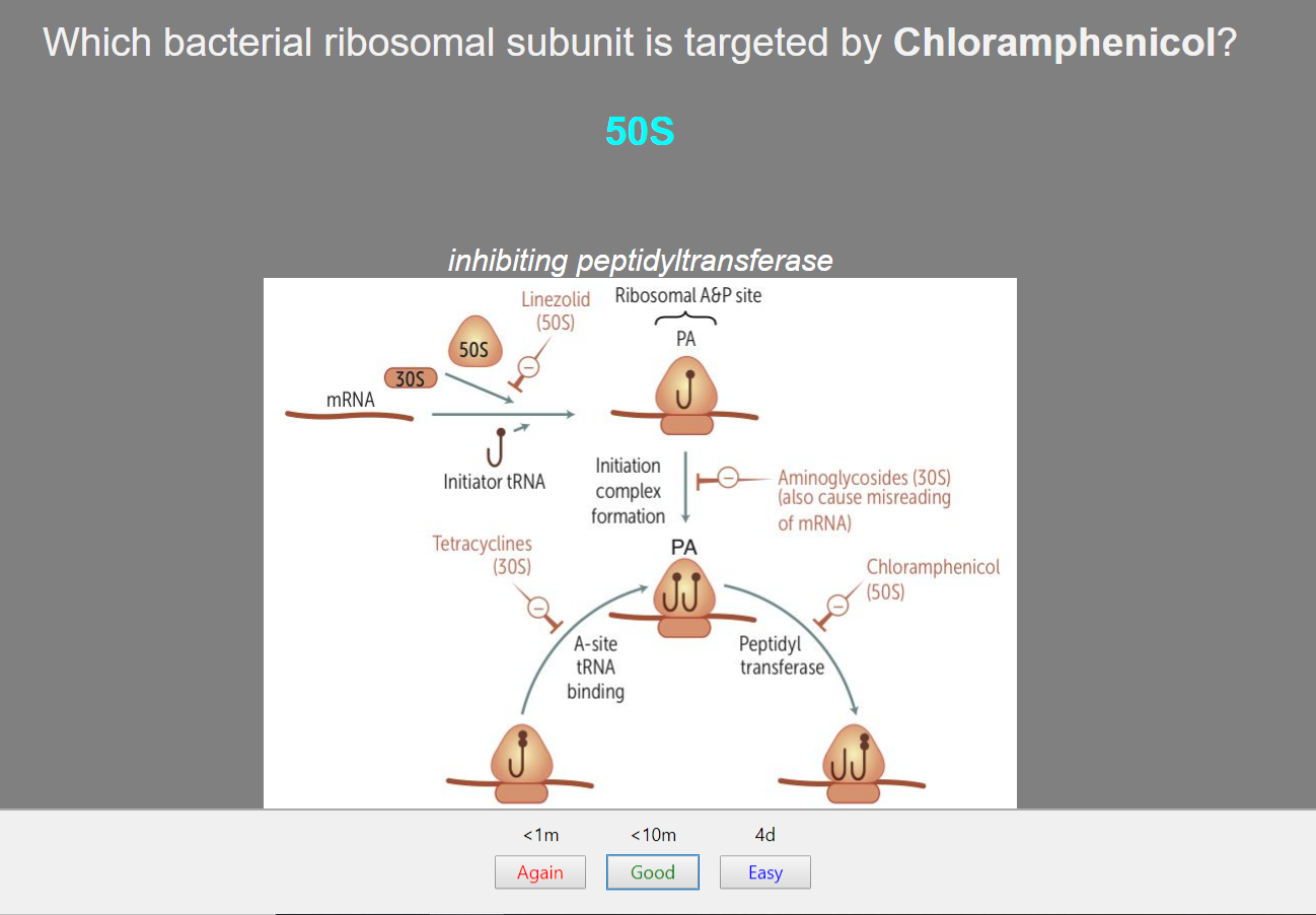 5 Best Pharmacology Anki Decks Learn Pharmacology Fast (2021