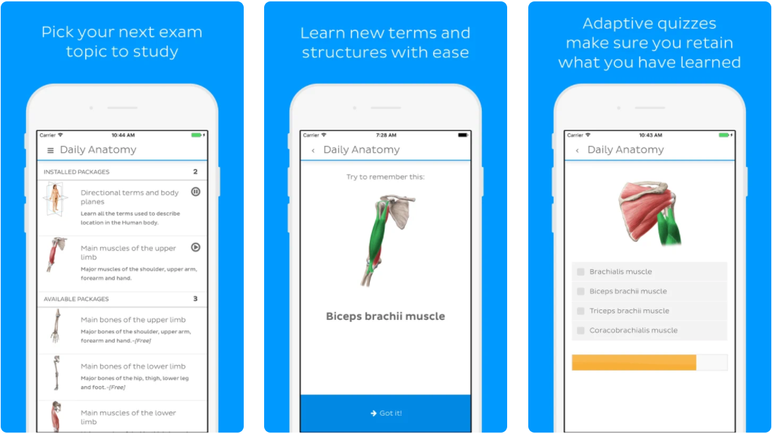 11 Best Anatomy Apps For Medical Students Free Paid WillpeachMD