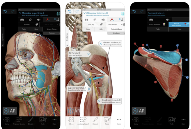 11 Best Anatomy Apps For Medical Students (Free & Paid!) – willpeachMD