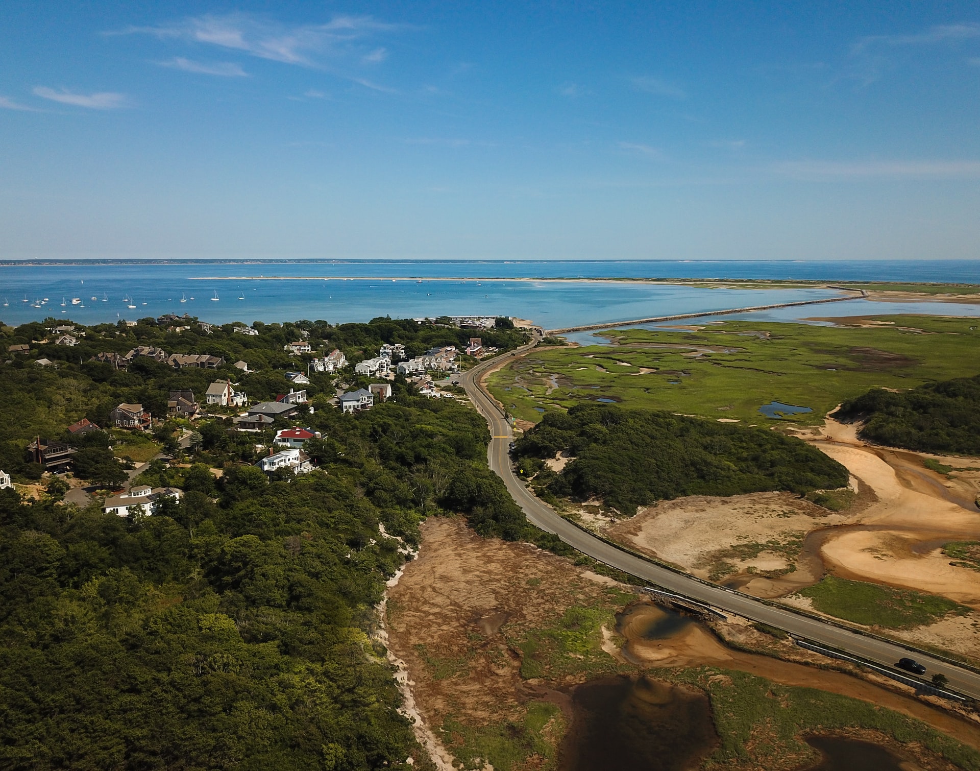 Premed Guide WillpeachMD Premed Guide WillpeachMD