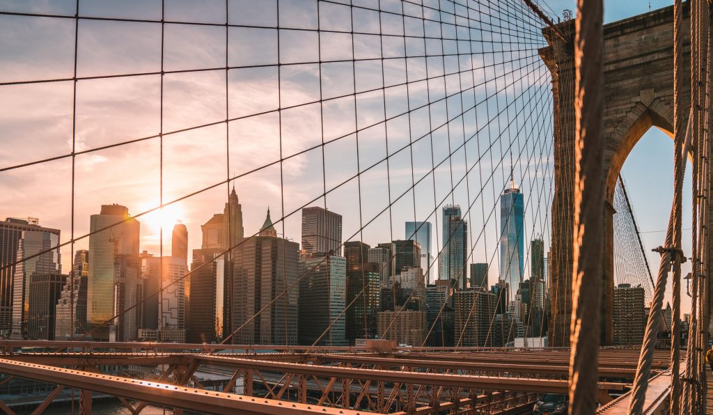 Best Medical Schools New York 