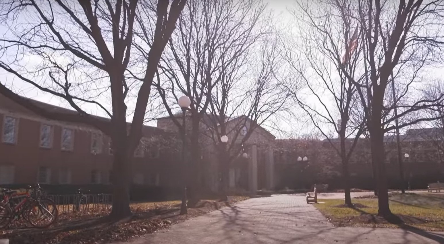 Medical Schools WillpeachMD medical-schools-willpeachmd